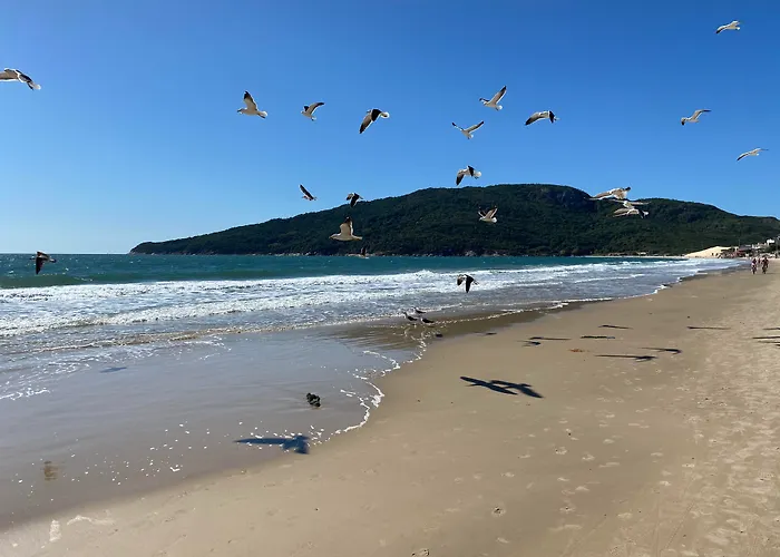Hotel & Pousada Favareto - Praia Dos Ingleses Florianópolis